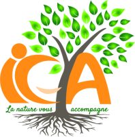 ICA-Logo-Sylvo-COULEURS